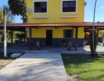 WhatsApp Image 2024-05-09 at 15.33.48 (3)