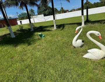 WhatsApp Image 2024-05-09 at 18.21.08 (4)